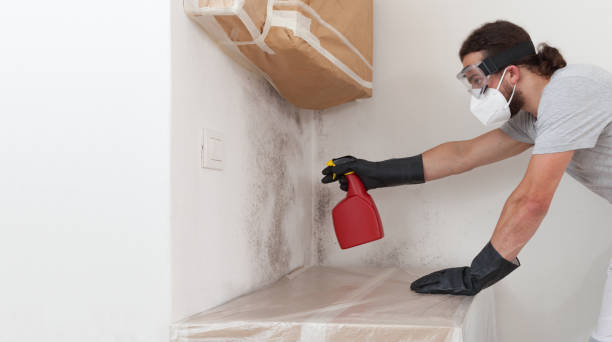 Professional Bathroom Mold Removal technician working in Glen Head, NY